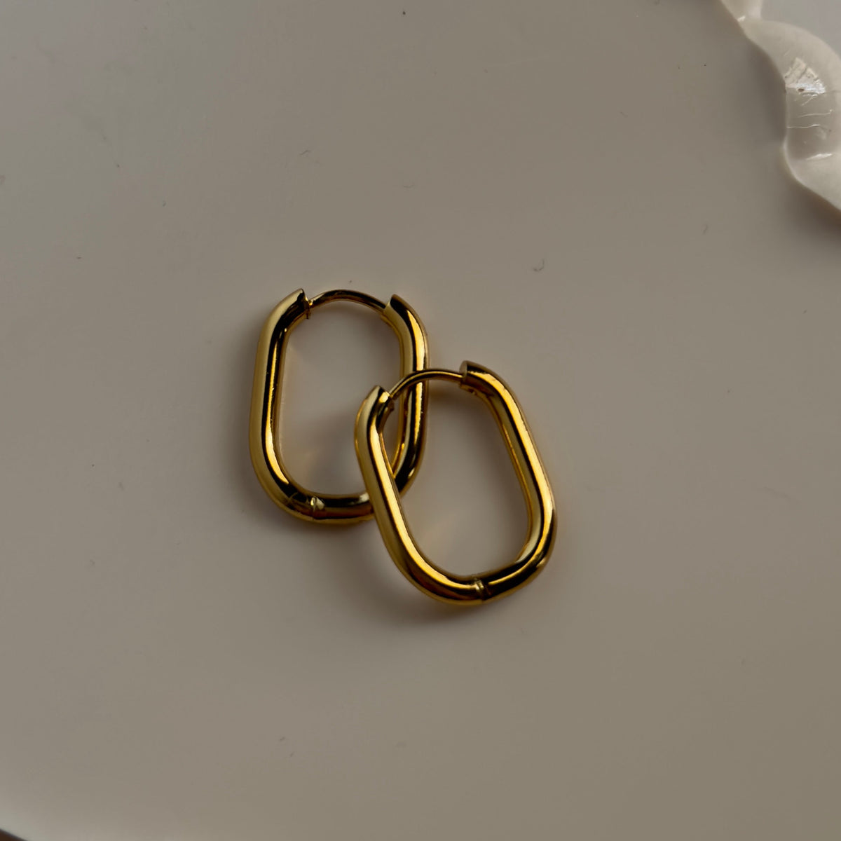 Classy Everyday Oval Hoops