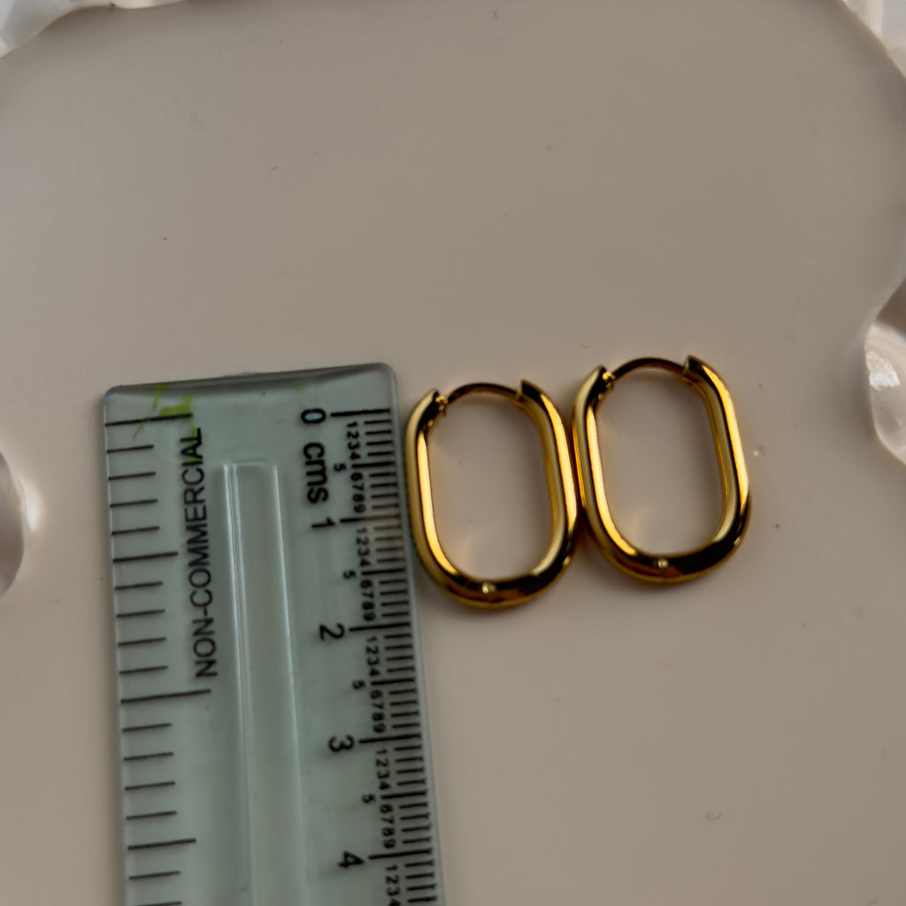 Classy Everyday Oval Hoops