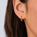 Small Classy Golden Hoops Earring