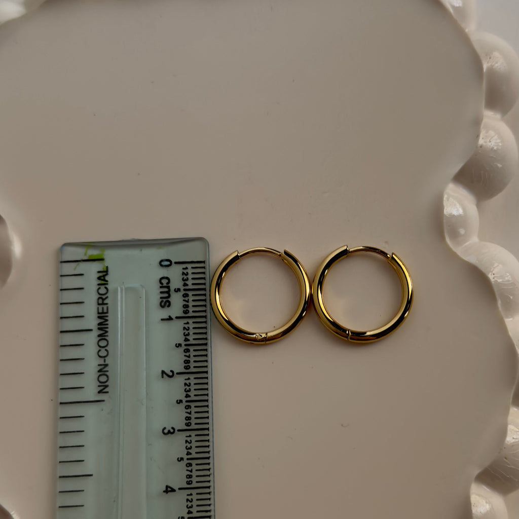 Everyday Wear Circle Hoops